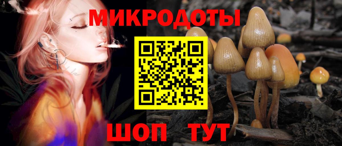 Галлюциногенные грибы Magic Shrooms Гагарин