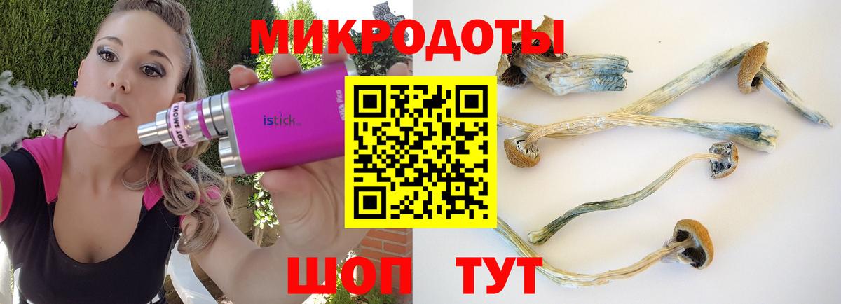 Гагарин  Псилоцибиновые грибы Psilocybe  Вход с VPN 
